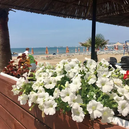 New Beach With Sea View Apartment